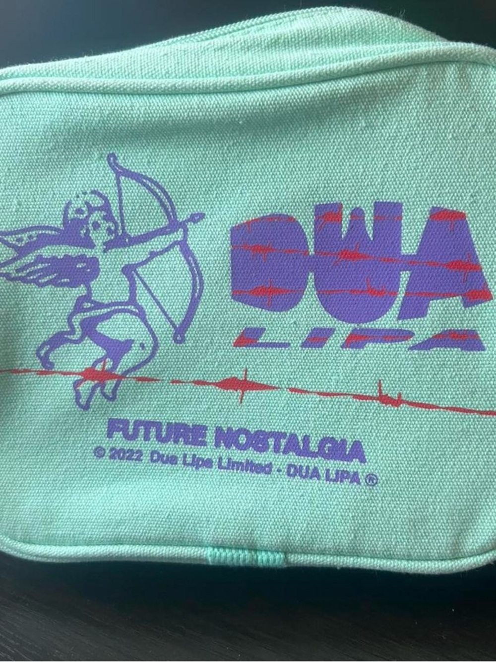 Dua Lipa Future Nostalgia Mint Graphic Pouch